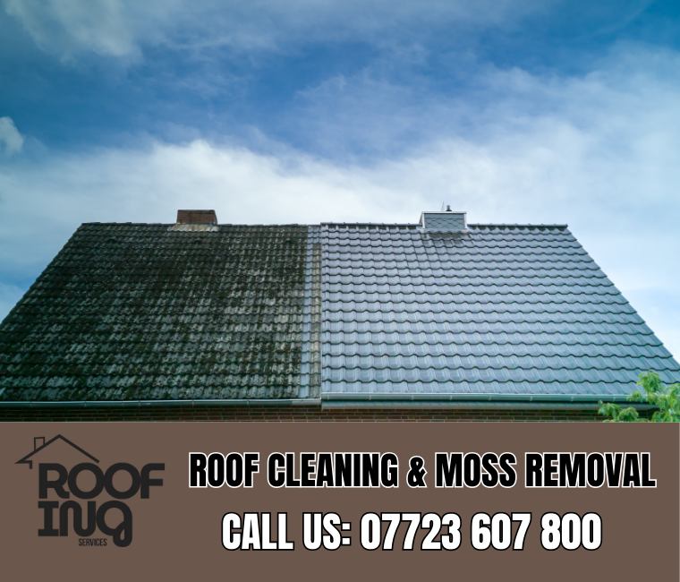 Roof cleaning and moss removal in Porthleven
